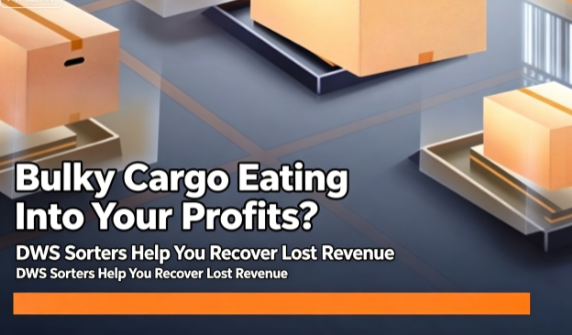 Stop Bulky Cargo Draining Your Profits! DWS Sorters Help Cross-Border Logistics Operators Cut Losses Instantly
